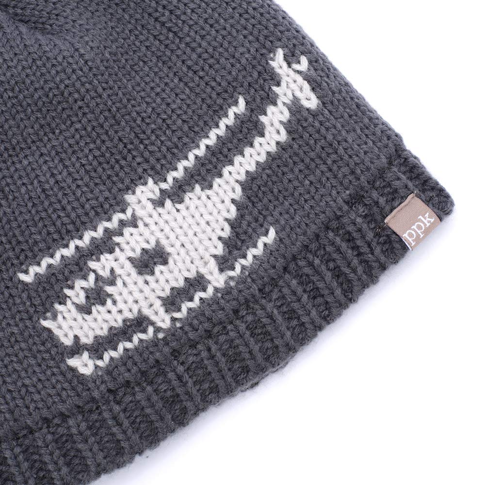 Boys Knitted Beanie Hat (Warm Fleece-Lined) - Baby, Toddler, Small Kid- 1 to 6 Years